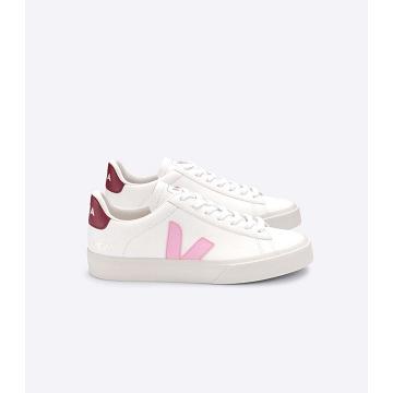 Veja CAMPO CHROMEFREE Men's Low Tops Sneakers White/Pink | NZ 293YXF